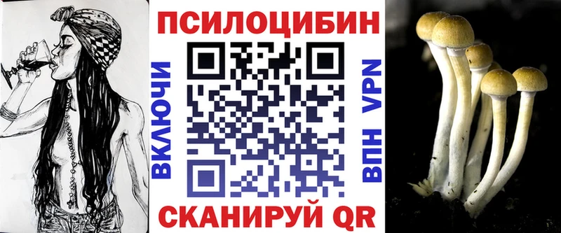 купить   Почеп  Псилоцибиновые грибы Psilocybe 